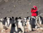 Abercrombie & Kent Photo Safari to Antarctica - Special Offer