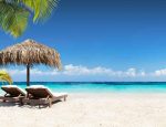 Travel Agent News for Playa Hotels and Resorts