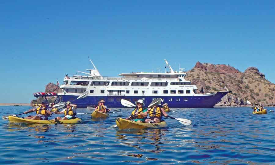 Travel Agent News for Uncruise Adventures and Small Ship Cruising