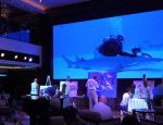 Travel Agent news for Guy Harvey Ocean Foundation and Norwegian Cruise Lines
