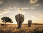 Travel Agent News for African Travel and Travel Agent Contest