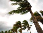 Travel Agent News for Hurricane Willa and Travel Insurance