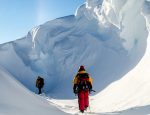 Travel Agent News for Lindblad Expeditions to Antarctica