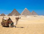 Travel-Agent-News-for-Insight-Vacations-and-Luxury-Gold-Vacations-to-Egypt