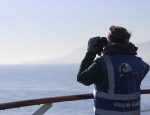 Blue Whales, Orcas, Dolphins and more: Silversea's Whale Watching Voyages Yield Over 1,000 Sightings for Guests