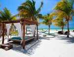 Travel Agent News for Playa Hotels & Resorts N.V.