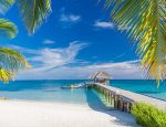 Travel Agent News for Bahamas Paradise Cruise Line