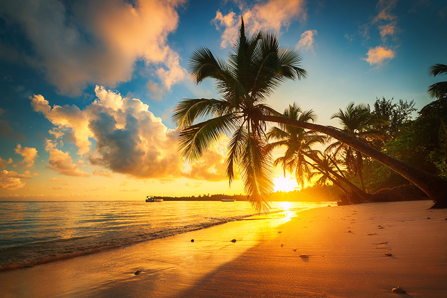 Live Aqua Beach Resort Punta Cana Announces Newly Appointed Executives