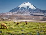 Chile Tourism Board Supports National Tourism Sector in Preparation for Travel Rebound