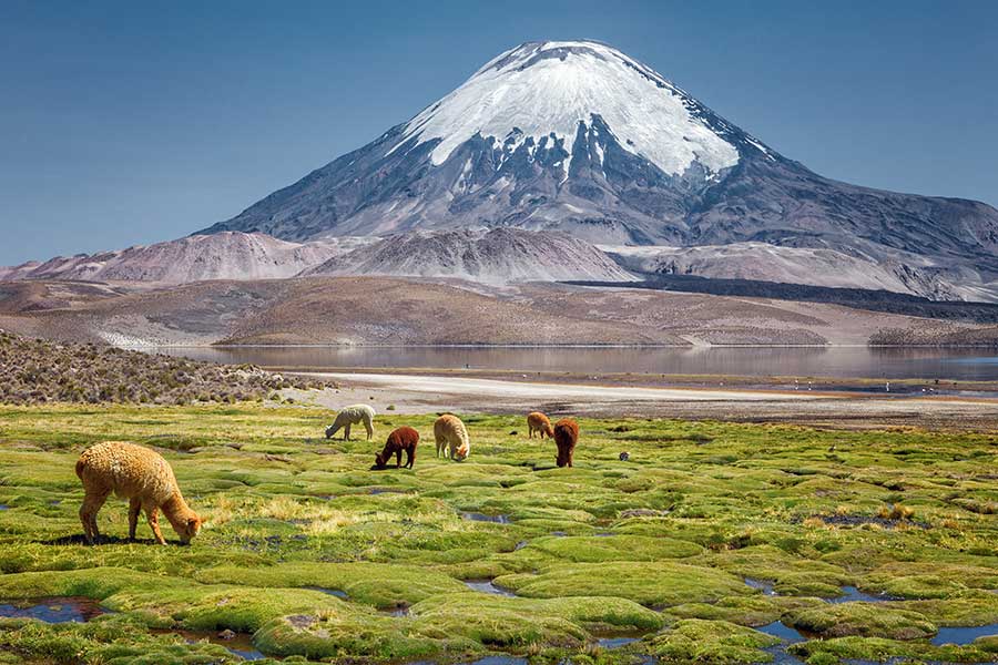 Chile Tourism Board Supports National Tourism Sector in Preparation for Travel Rebound