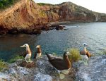 Riviera Nayarit Announces Birds and Health Program to Combat Anxiety and Stress Through Birdwatching
