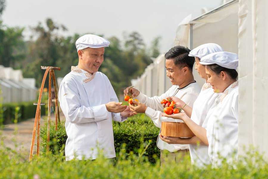 Meliá Chiang Mai Launches A Journey to the Farm Package