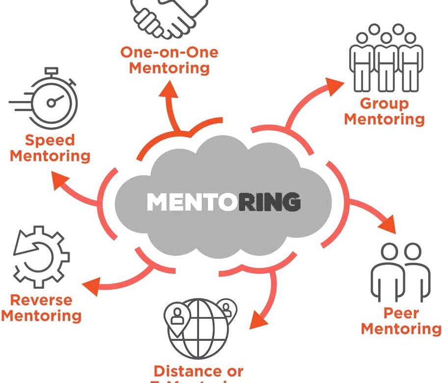 MENTORING - The Circle of Experience