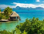 Windstar Cruises Partners with Coral Gardeners in Tahiti