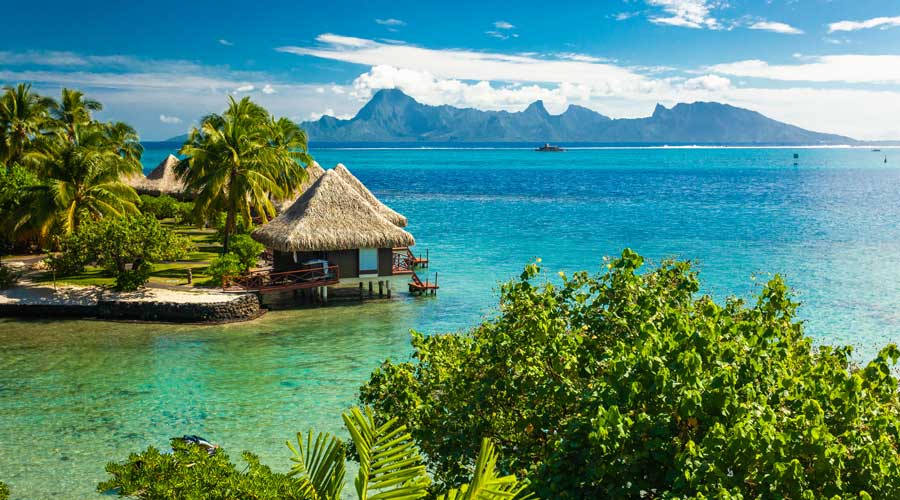 Windstar Cruises Partners with Coral Gardeners in Tahiti