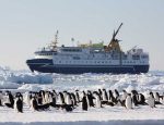Apply to be Chief Flying Penguin Officer for Chance to Travel to Antarctica