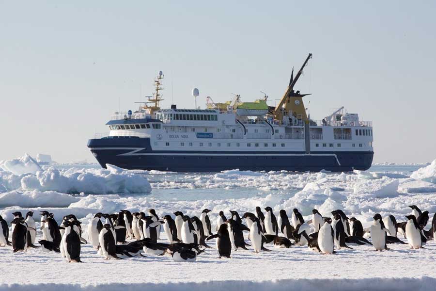 Apply to be Chief Flying Penguin Officer for Chance to Travel to Antarctica