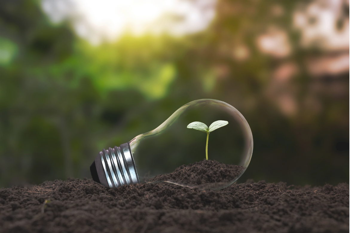 Hotel sustainability: transforming profitability through innovative practices