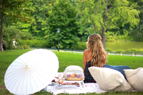 Picnic spot-NYC