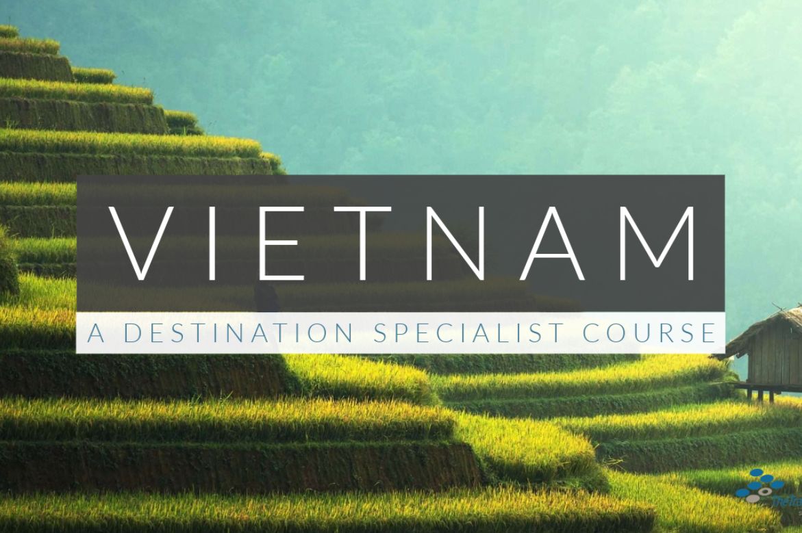 The Travel Institute launches Vietnam Destination Specialist Course