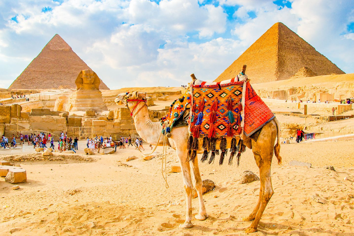ETS Tours Unveils Enhanced Training Programs for Travel Advisors: New Webinar and 2025 Egypt FAM Tour Opportunities