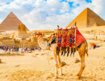 ETS Tours Unveils Enhanced Training Programs for Travel Advisors: New Webinar and 2025 Egypt FAM Tour Opportunities