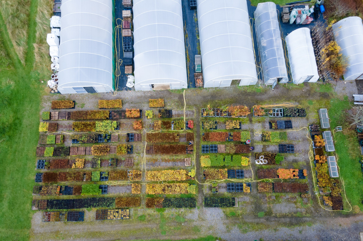 TreadRight Launches Video Series on World Tourism Day Debuting Trees for Life’s Rewilding Initiatives