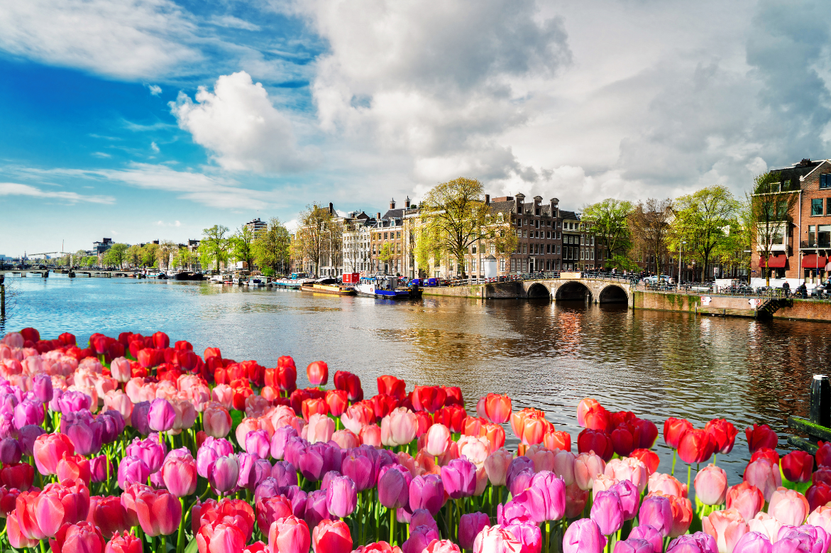AmaWaterways’ “Tulip Time” Cruises Offer Far More Than Tulips