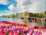 AmaWaterways’ “Tulip Time” Cruises Offer Far More Than Tulips