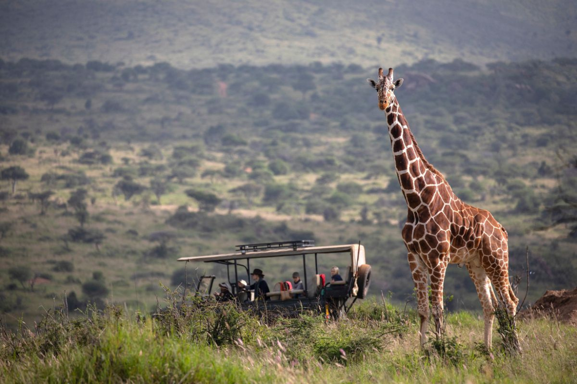 African Travel, Inc. Launches Travel Advisor Incentive to Win a $30,000 Safari Adventure of a Lifetime