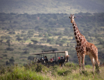 African Travel, Inc. Launches Travel Advisor Incentive to Win a $30,000 Safari Adventure of a Lifetime