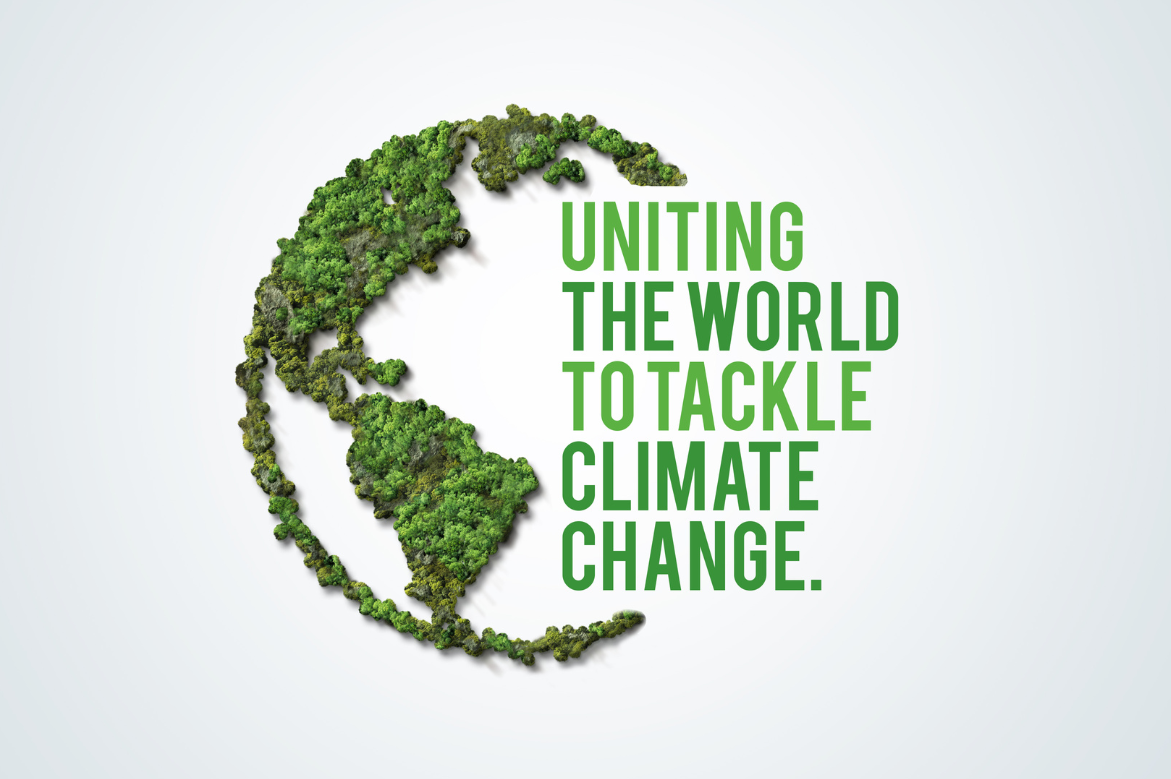 Internova Travel Group Highlights 2024 Climate Initiatives