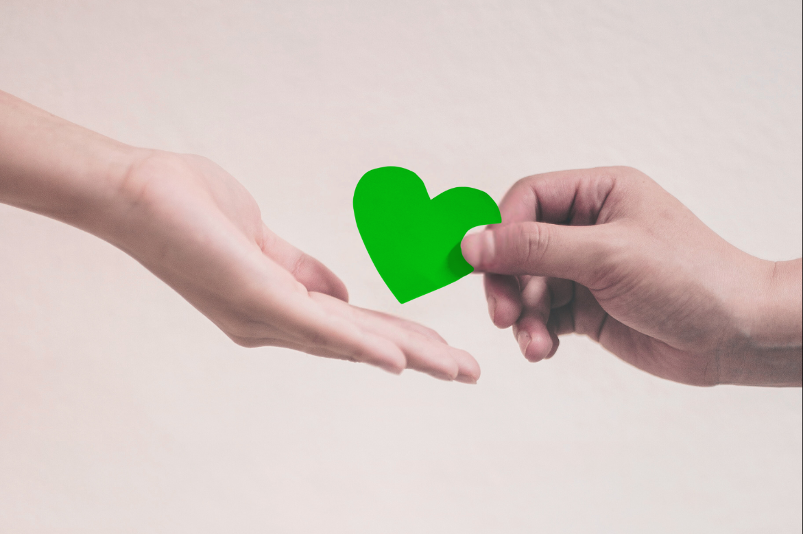 Cruise Planners Gives Back in 2024 with over $150,000 in Charitable Impact