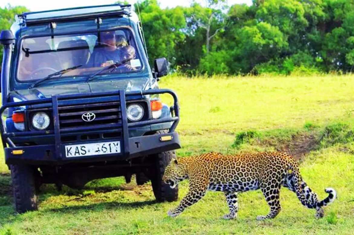 African Adventures in Kenya Celebrates Earth Month with the Offbeat Kenya Safari: A Journey of Luxury, Heritage, and Sustainable Tourism