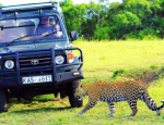 African Adventures in Kenya Celebrates Earth Month with the Offbeat Kenya Safari: A Journey of Luxury, Heritage, and Sustainable Tourism