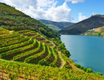 AmaWaterways Launches First-Ever Luxury River Cruise Ship on Colombia’s Magdalena River