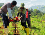 G Adventures Celebrates Earth Day 2025 with Meaningful Tree-Planting Projects