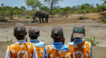 African Travel, Inc. Celebrates Earth Month by Sharing Community Successes in Africa