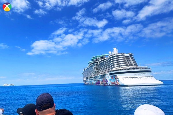 How Niche Travel Advisors Can Dominate Their Market in 2025 - Written By: Jackie Friedman, President, Nexion Travel Group