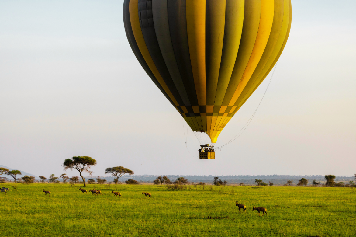 Witness Nature’s Encore on the Post-Migration Premier Safari – A Luxury Cross-Border Experience Through Kenya & Tanzania