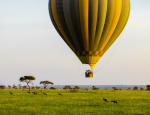 Witness Nature’s Encore on the Post-Migration Premier Safari – A Luxury Cross-Border Experience Through Kenya & Tanzania