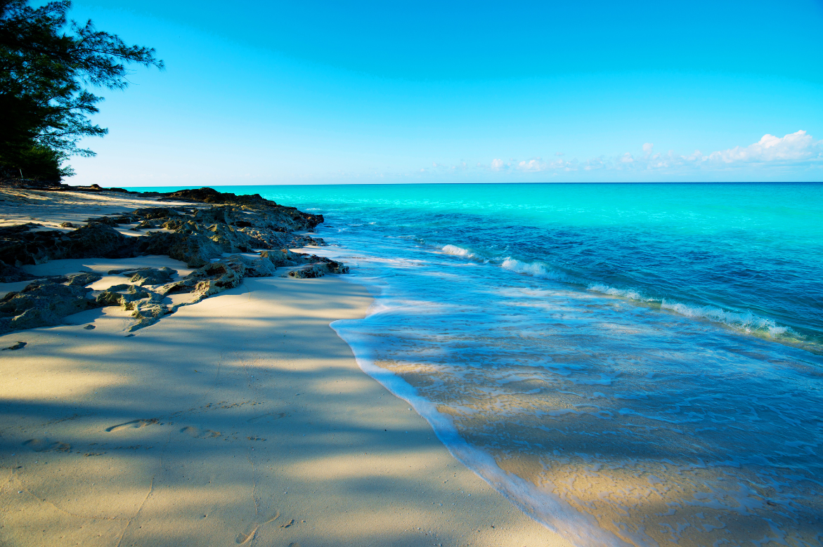 Celebrating World Oceans Day: The Bahamas Leads the Way in Sustainable Tourism for a Thriving Marine World