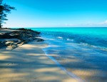 Celebrating World Oceans Day: The Bahamas Leads the Way in Sustainable Tourism for a Thriving Marine World