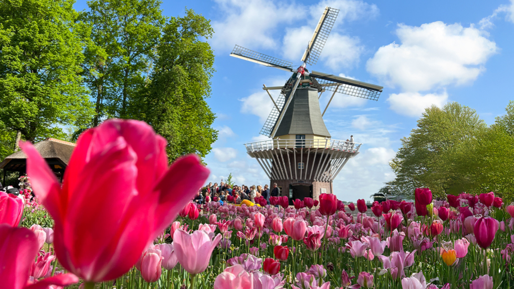 Five Reasons Your Clients Will Enjoy a Spring River Cruise - Contributed by: Amawaterways