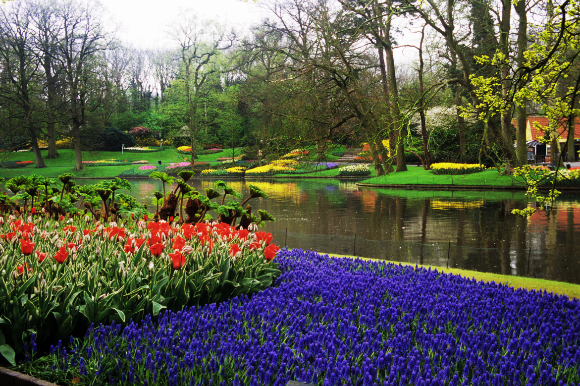 AmaWaterways and Smithsonian Journeys Unveil 2027 River Cruise Collection