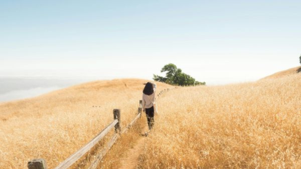 Fuel Your Fire: 10 Reminders for Why You Started This Journey - Contributed by: Avoya Travel