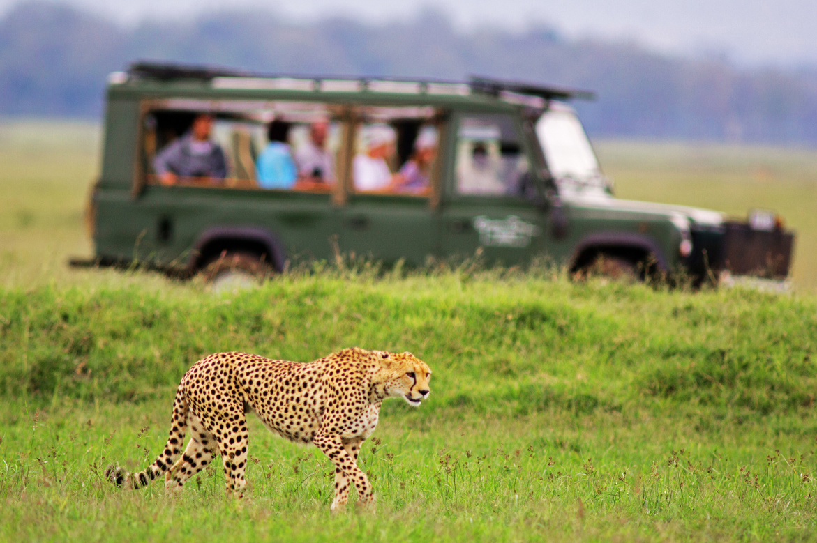 My Pulse In Africa Invites Travel Advisors to Join Exclusive South African Educational Tour