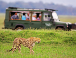 My Pulse In Africa Invites Travel Advisors to Join Exclusive South African Educational Tour