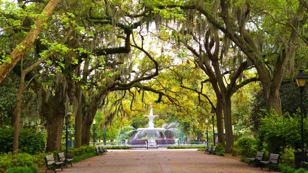 Southern Stories Come to Life: Discover Charleston & Savannah With American Stories Travel - Written By: Carole A. Peck, Content Manager at American Stories Travel