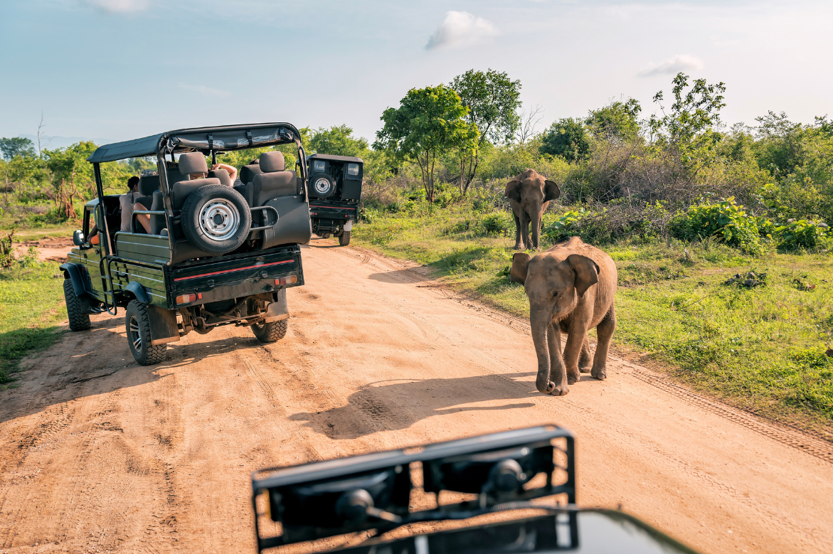 Squaremouth Shares Safari Travel Tips Amid Medical Shortages in Botswana